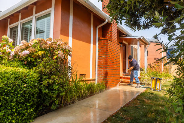 Best Affordable Pressure Washing  in El Valle De Arroyo Seco, NM