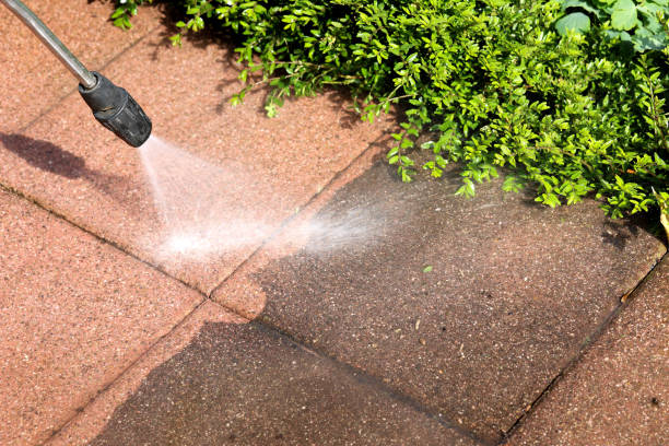 Best Best Pressure Washing Companies  in El Valle De Arroyo Seco, NM